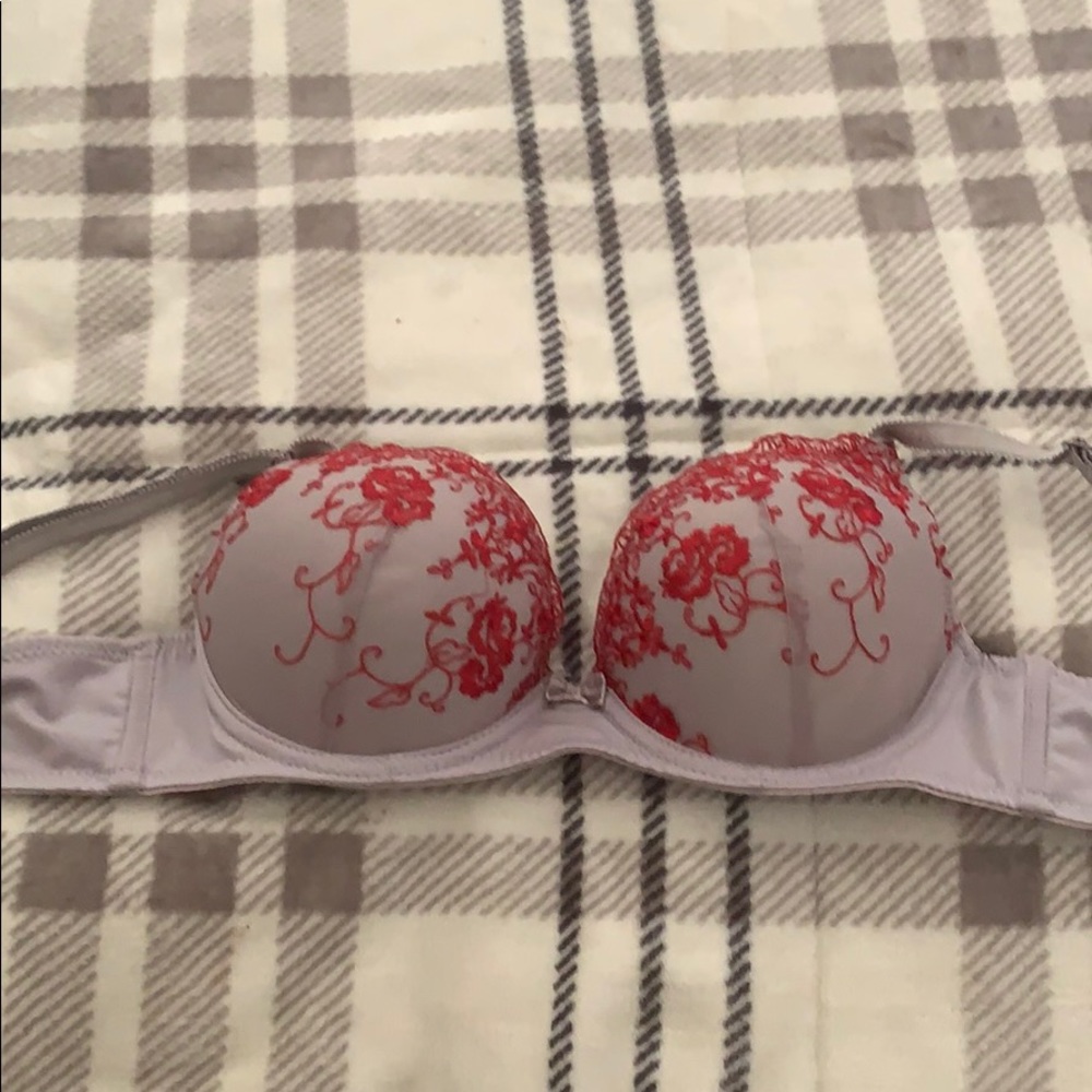 Gray and red bra